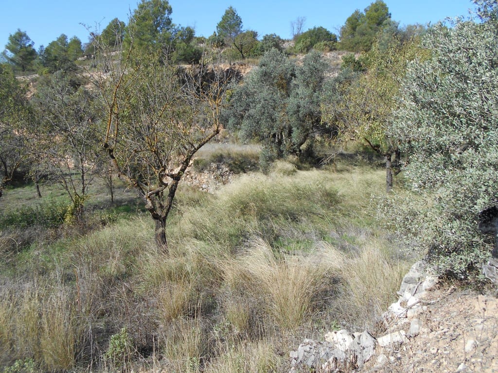 Finca/Landhuis te koop in Corbera d'Ebre - € 18.000 (Ref: 9417807)