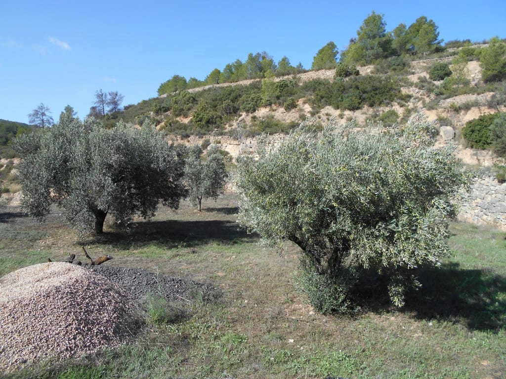 Finca/Landhuis te koop in Corbera d'Ebre - € 18.000 (Ref: 9417807)