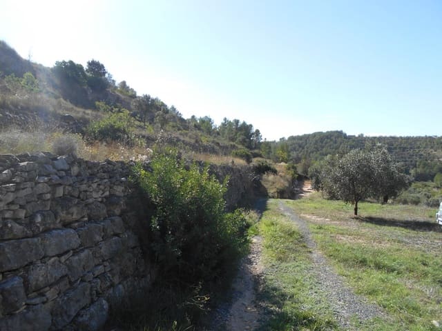 Finca/Landehus til salg i Corbera d'Ebre - € 18.000 (Ref: 9417807)