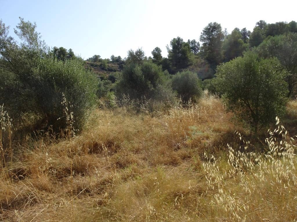 Finca/Country House for sale in La Torre de l'Espanyol - € 18,000 (Ref: 9417808)