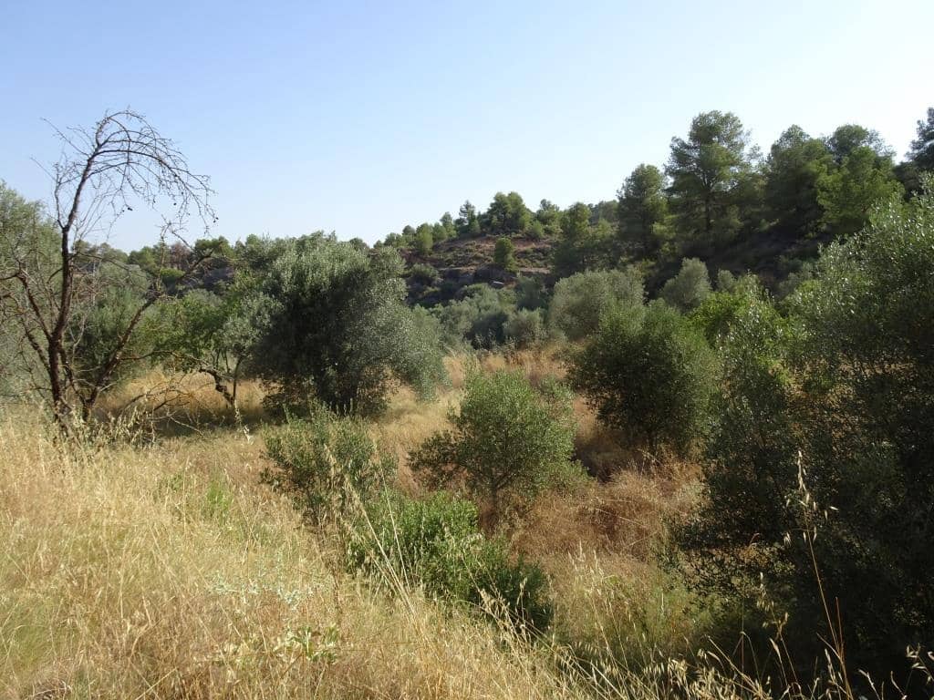 Finca/Country House for sale in La Torre de l'Espanyol - € 18,000 (Ref: 9417808)