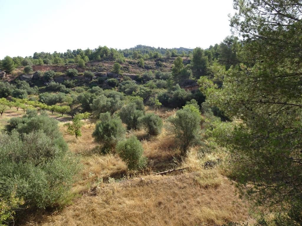 Finca/Country House for sale in La Torre de l'Espanyol - € 18,000 (Ref: 9417808)
