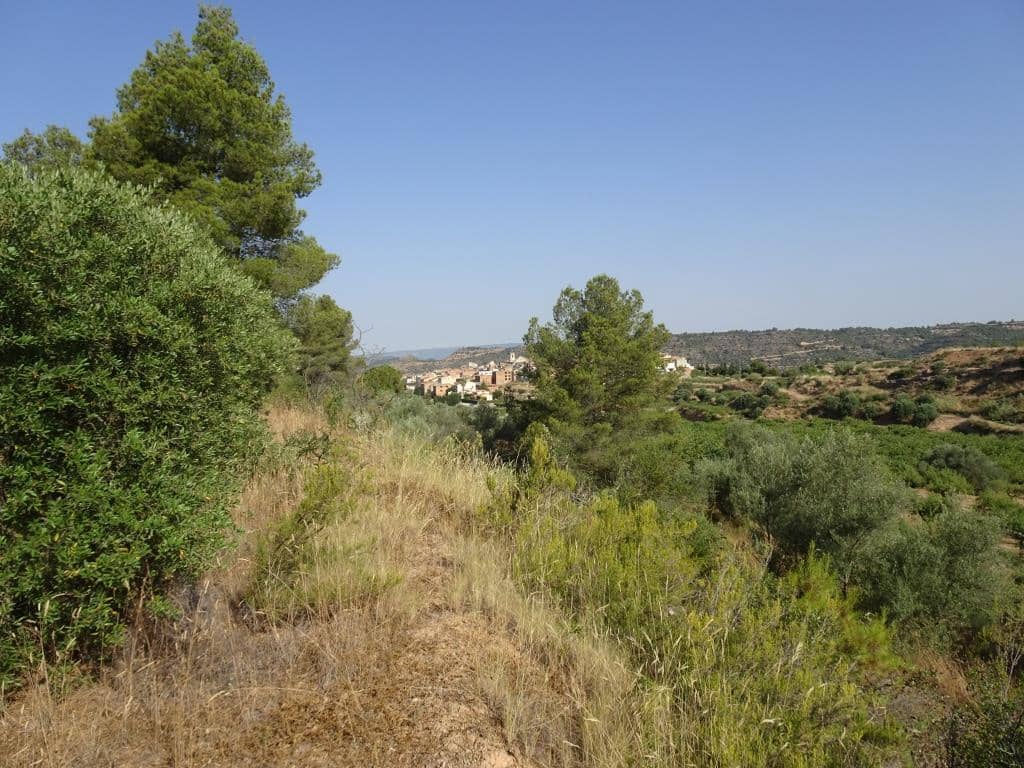 Finca/Country House for sale in La Torre de l'Espanyol - € 18,000 (Ref: 9417808)