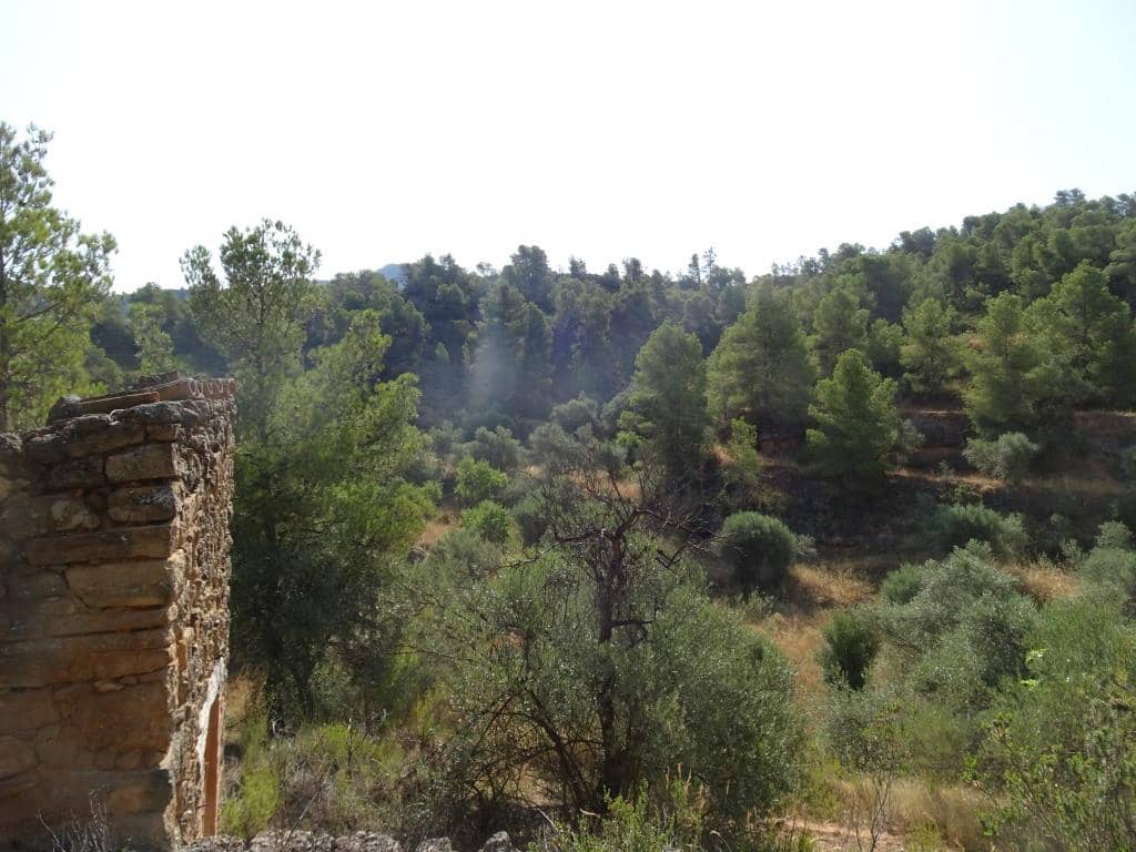 Finca/Country House for sale in La Torre de l'Espanyol - € 18,000 (Ref: 9417808)