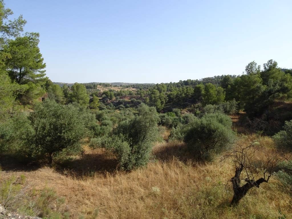 Finca/Country House for sale in La Torre de l'Espanyol - € 18,000 (Ref: 9417808)