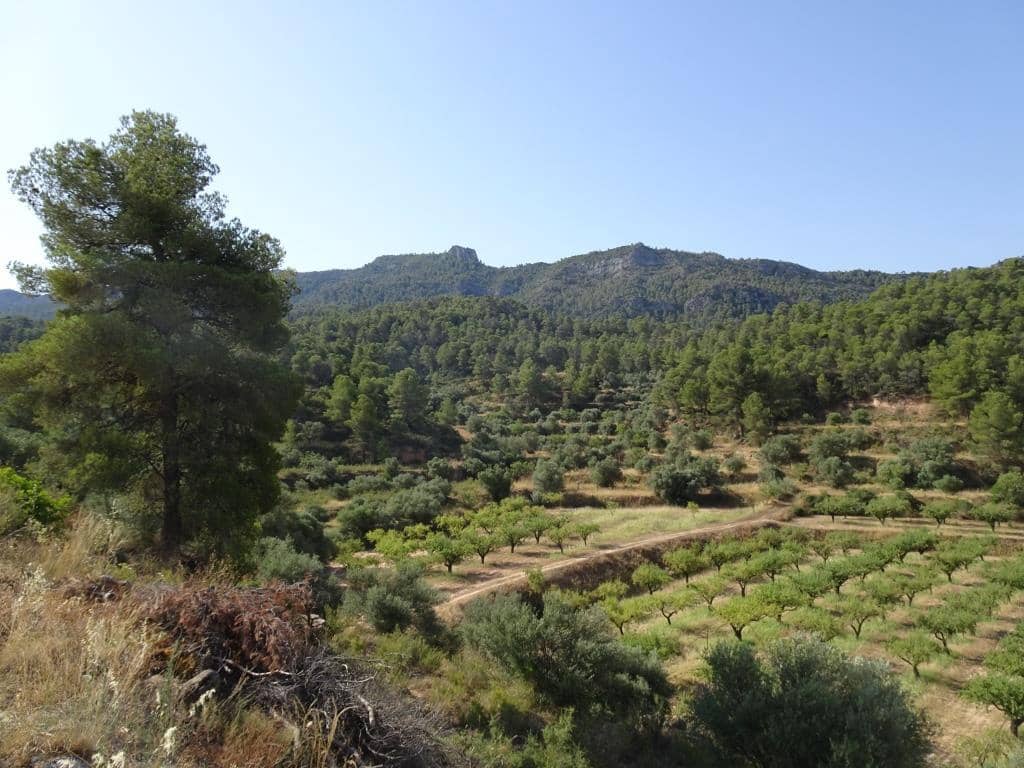 Finca/Country House for sale in La Torre de l'Espanyol - € 18,000 (Ref: 9417808)