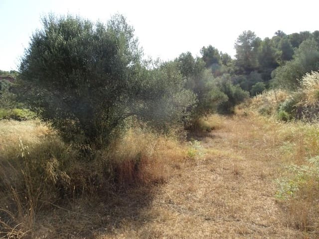 Finca/Landhuis te koop in La Torre de l'Espanyol - € 18.000 (Ref: 9417808)