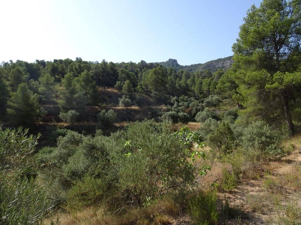 Finca/Country House for sale in La Torre de l'Espanyol - € 18,000 (Ref: 9417808)