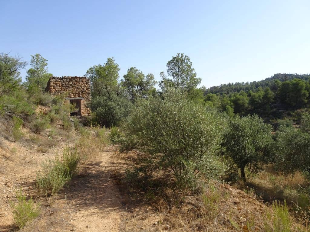 Finca/Country House for sale in La Torre de l'Espanyol - € 18,000 (Ref: 9417808)