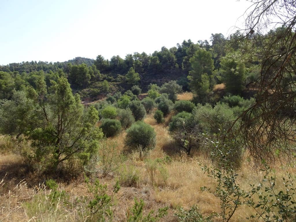 Finca/Country House for sale in La Torre de l'Espanyol - € 18,000 (Ref: 9417808)