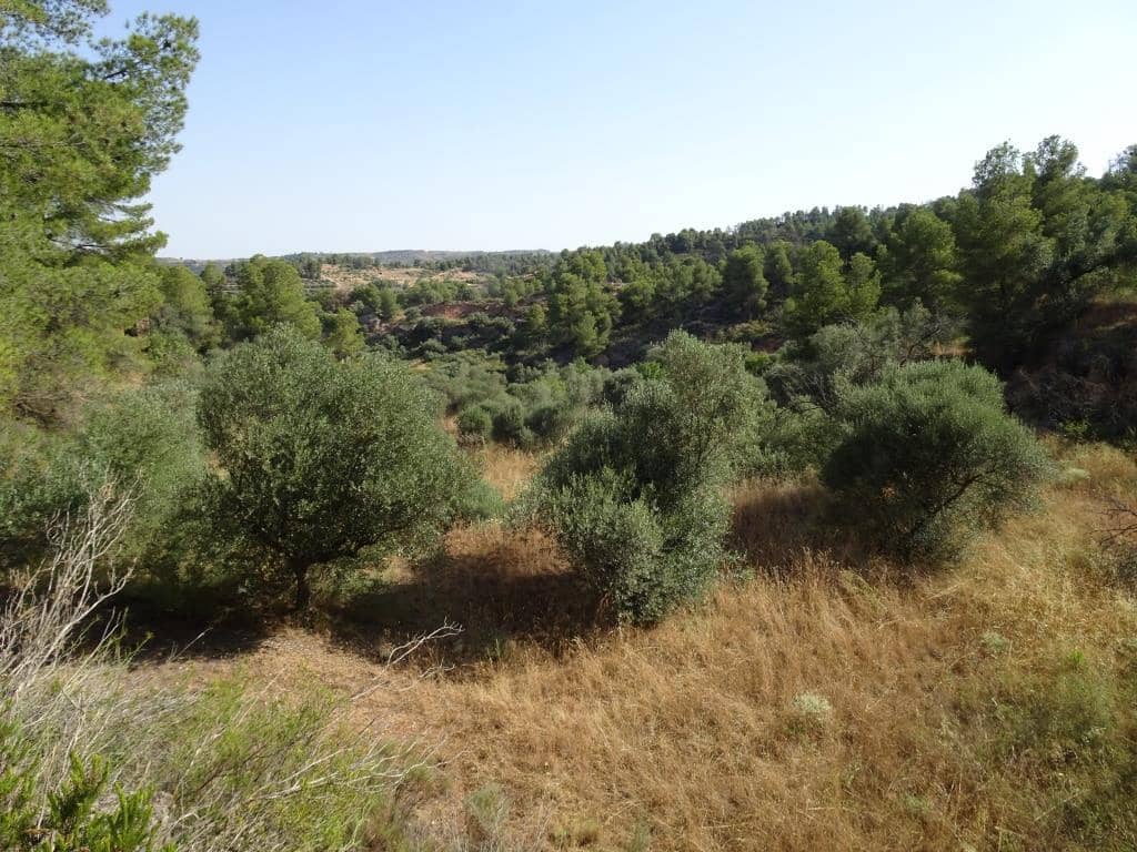 Finca/Country House for sale in La Torre de l'Espanyol - € 18,000 (Ref: 9417808)