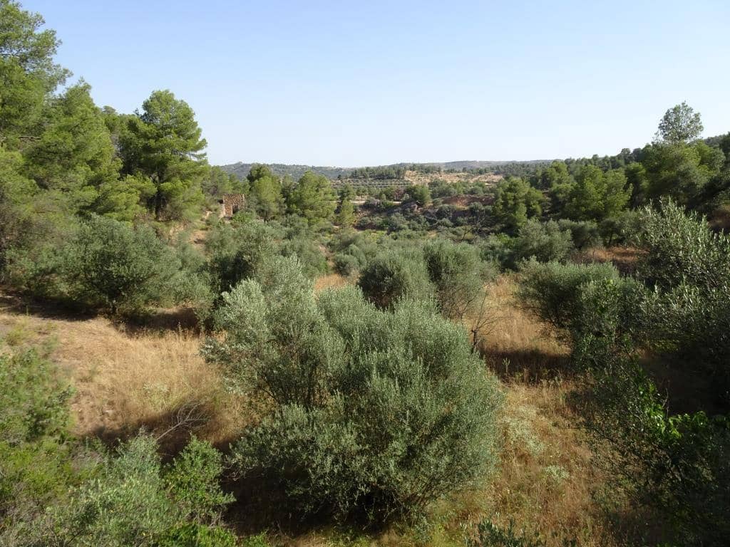 Finca/Country House for sale in La Torre de l'Espanyol - € 18,000 (Ref: 9417808)