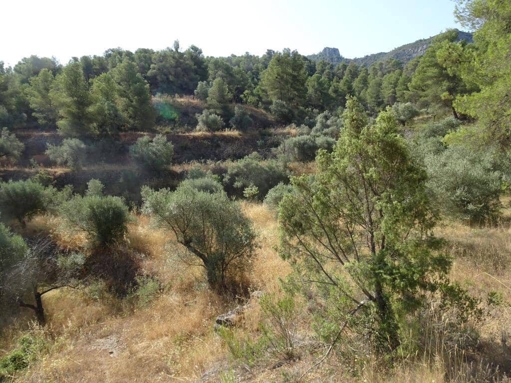 Finca/Country House for sale in La Torre de l'Espanyol - € 18,000 (Ref: 9417808)