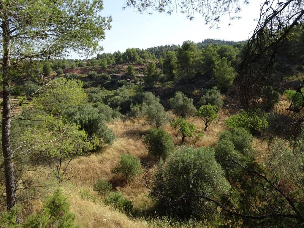 Finca/Country House for sale in La Torre de l'Espanyol - € 18,000 (Ref: 9417808)