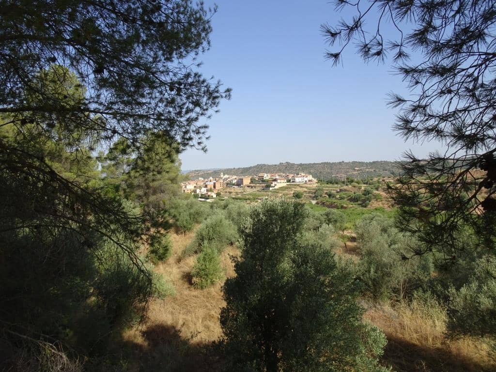Finca/Country House for sale in La Torre de l'Espanyol - € 18,000 (Ref: 9417808)
