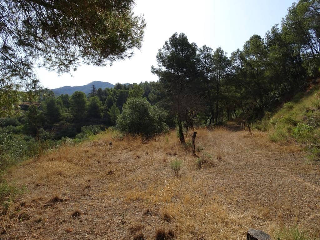 Finca/Country House for sale in La Torre de l'Espanyol - € 18,000 (Ref: 9417808)