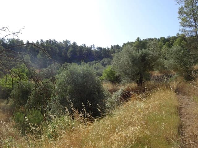 Finca/Landhuis te koop in La Torre de l'Espanyol - € 18.000 (Ref: 9417808)