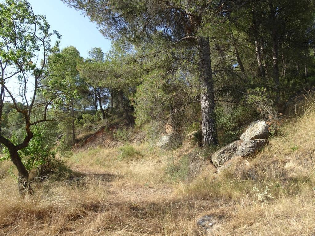 Finca/Country House for sale in La Torre de l'Espanyol - € 18,000 (Ref: 9417808)