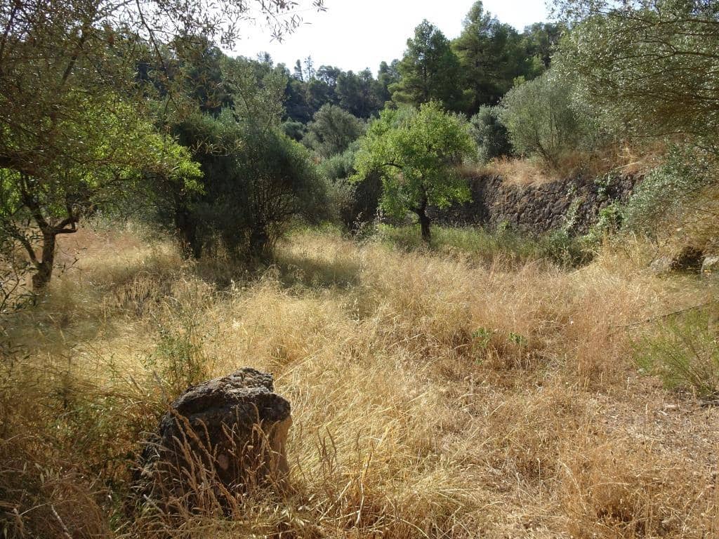 Finca/Country House for sale in La Torre de l'Espanyol - € 18,000 (Ref: 9417808)