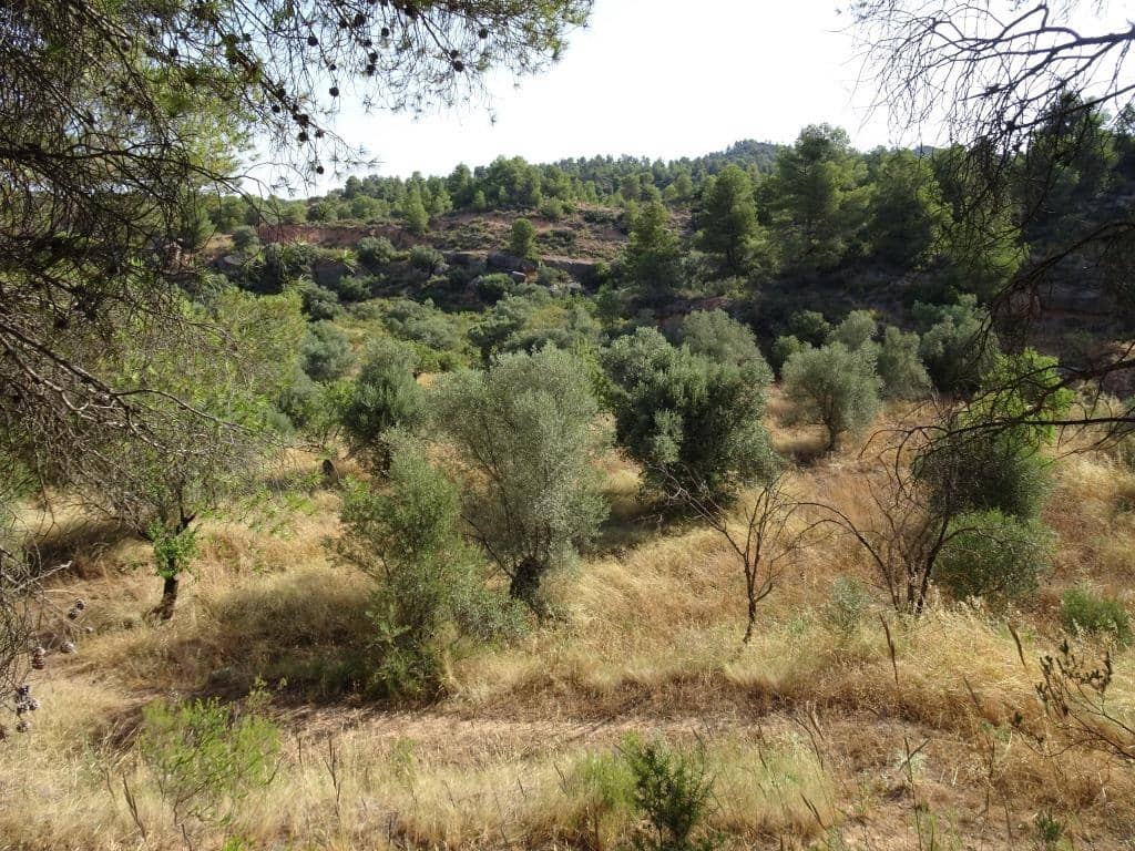 Finca/Country House for sale in La Torre de l'Espanyol - € 18,000 (Ref: 9417808)