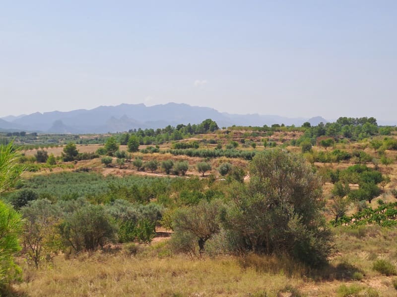 Finca/Country House for sale in Gandesa - € 9,000 (Ref: 9417809)