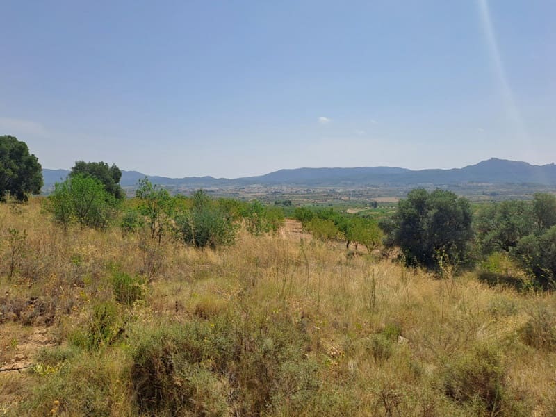 Finca/Country House for sale in Gandesa - € 9,000 (Ref: 9417809)