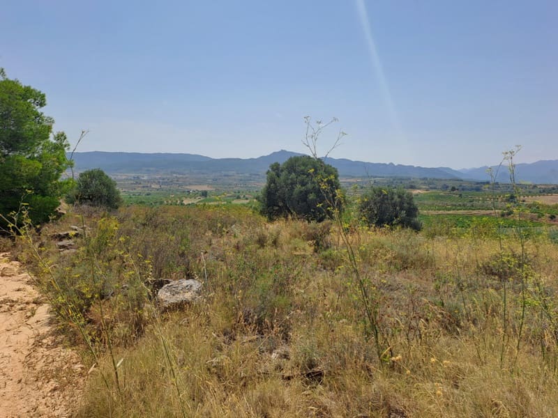 Finca/Country House for sale in Gandesa - € 9,000 (Ref: 9417809)