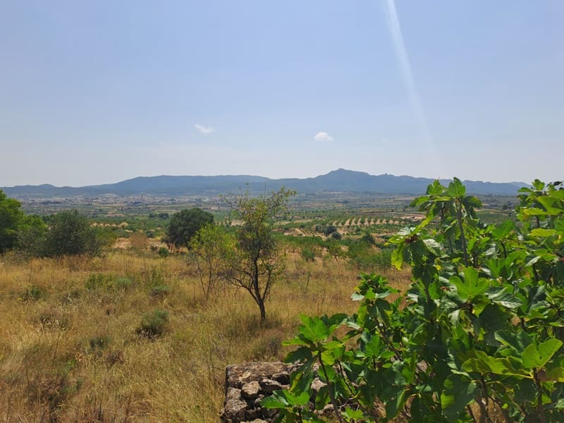 Finca/Country House for sale in Gandesa - € 9,000 (Ref: 9417809)