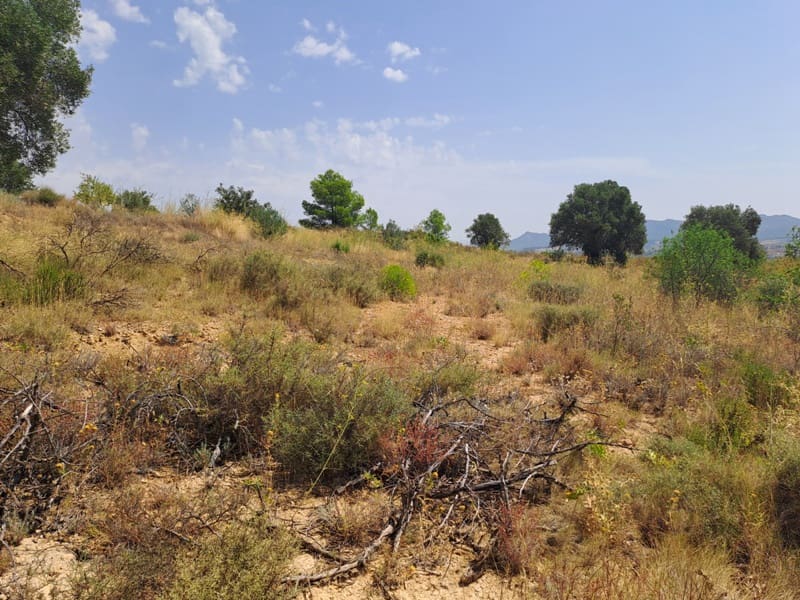 Finca/Country House for sale in Gandesa - € 9,000 (Ref: 9417809)