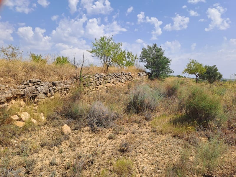 Finca/Country House for sale in Gandesa - € 9,000 (Ref: 9417809)