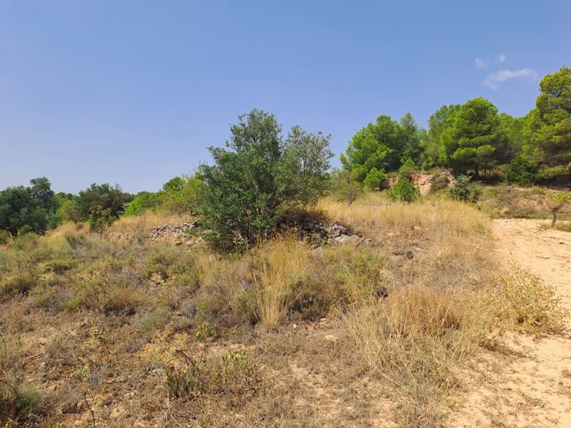 Finca/Country House for sale in Gandesa - € 9,000 (Ref: 9417809)