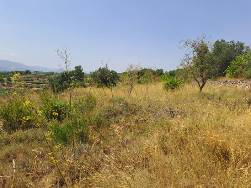 Finca/Country House for sale in Gandesa - € 9,000 (Ref: 9417809)