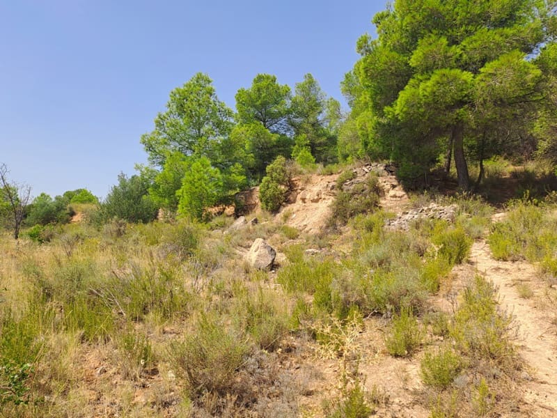 Finca/Country House for sale in Gandesa - € 9,000 (Ref: 9417809)