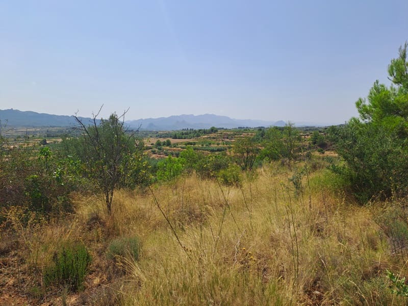 Finca/Country House for sale in Gandesa - € 9,000 (Ref: 9417809)