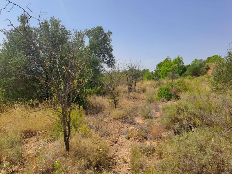 Finca/Country House for sale in Gandesa - € 9,000 (Ref: 9417809)