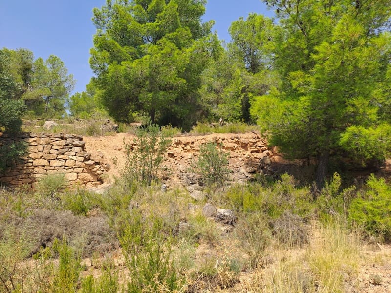 Finca/Country House for sale in Gandesa - € 9,000 (Ref: 9417809)