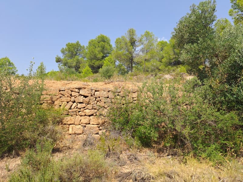 Finca/Country House for sale in Gandesa - € 9,000 (Ref: 9417809)