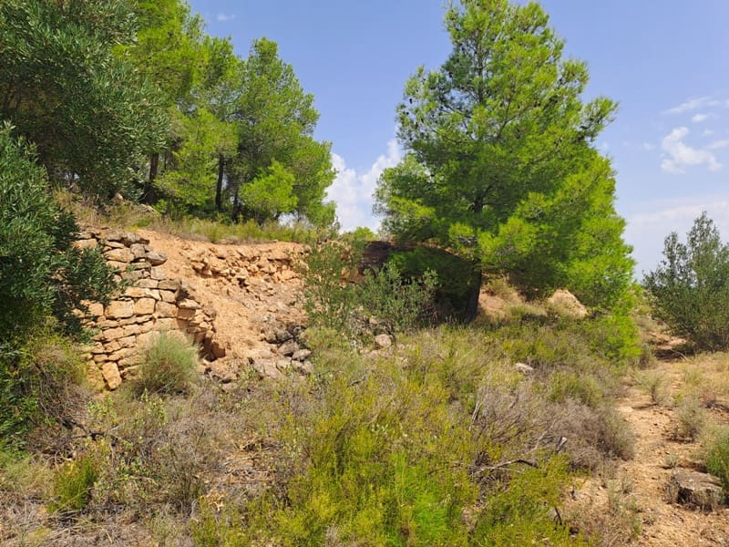 Finca/Country House for sale in Gandesa - € 9,000 (Ref: 9417809)