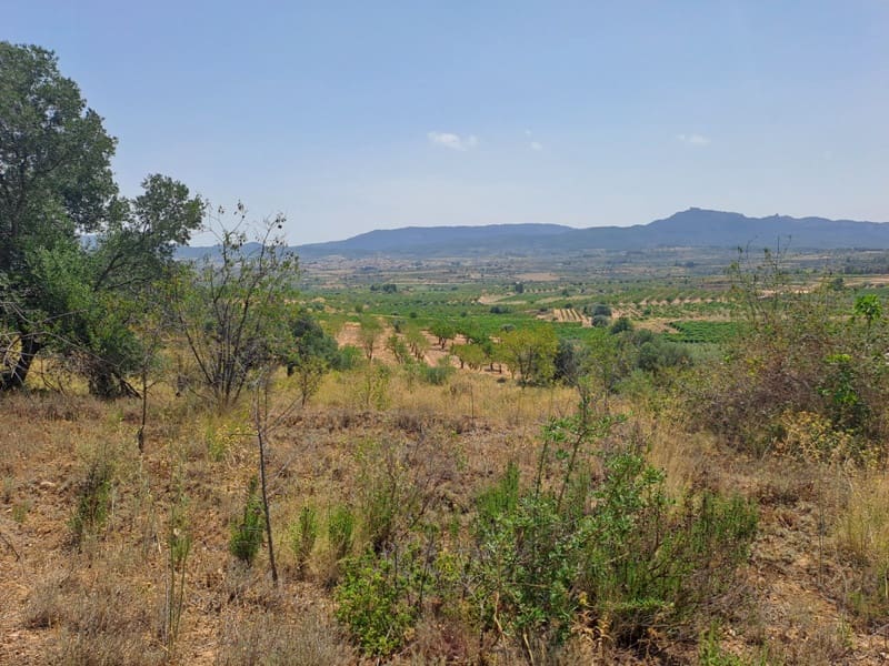 Finca/Country House for sale in Gandesa - € 9,000 (Ref: 9417809)