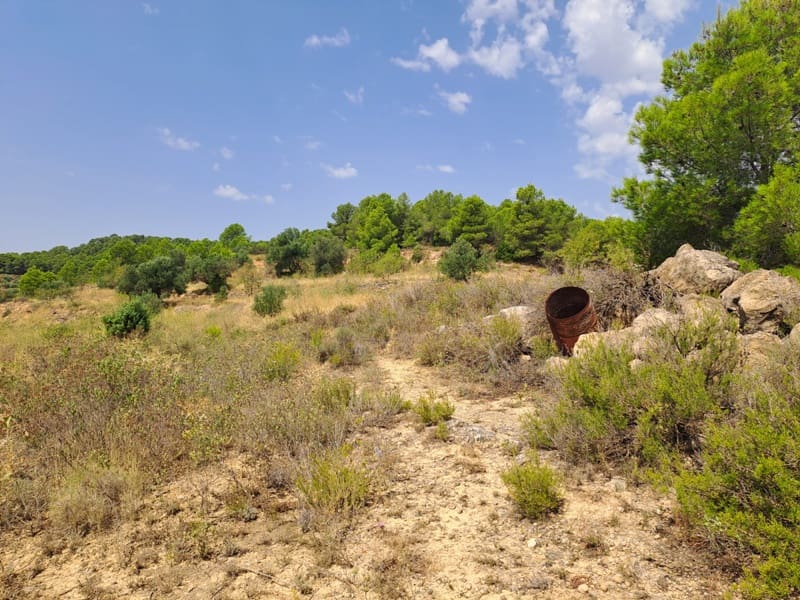 Finca/Country House for sale in Gandesa - € 9,000 (Ref: 9417809)