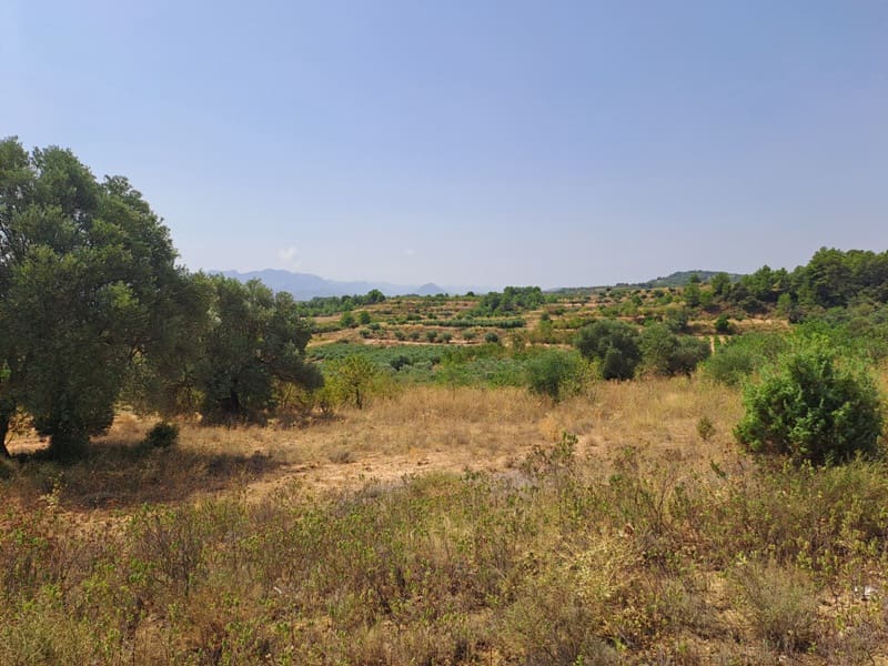 Finca/Country House for sale in Gandesa - € 9,000 (Ref: 9417809)