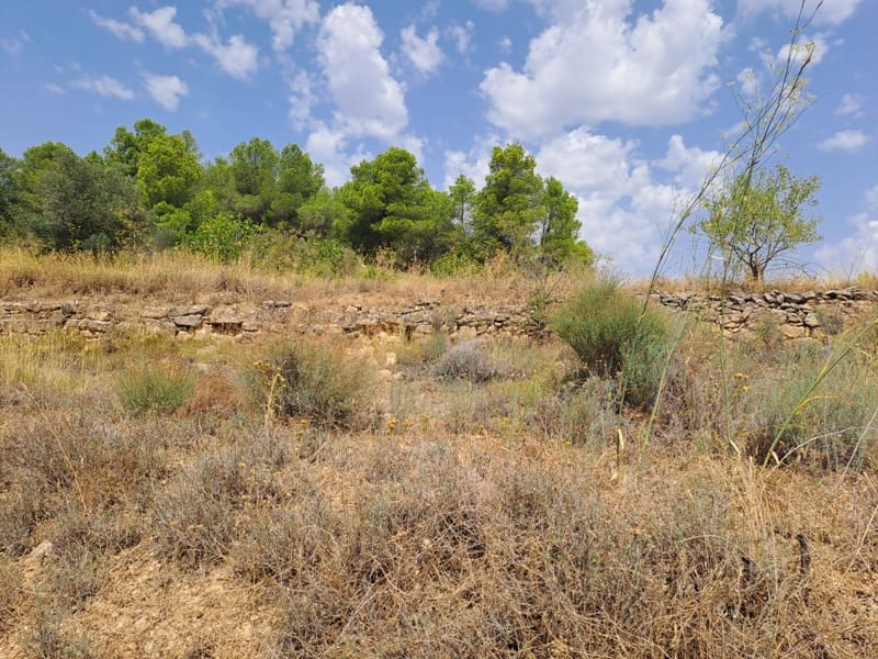 Finca/Country House for sale in Gandesa - € 9,000 (Ref: 9417809)