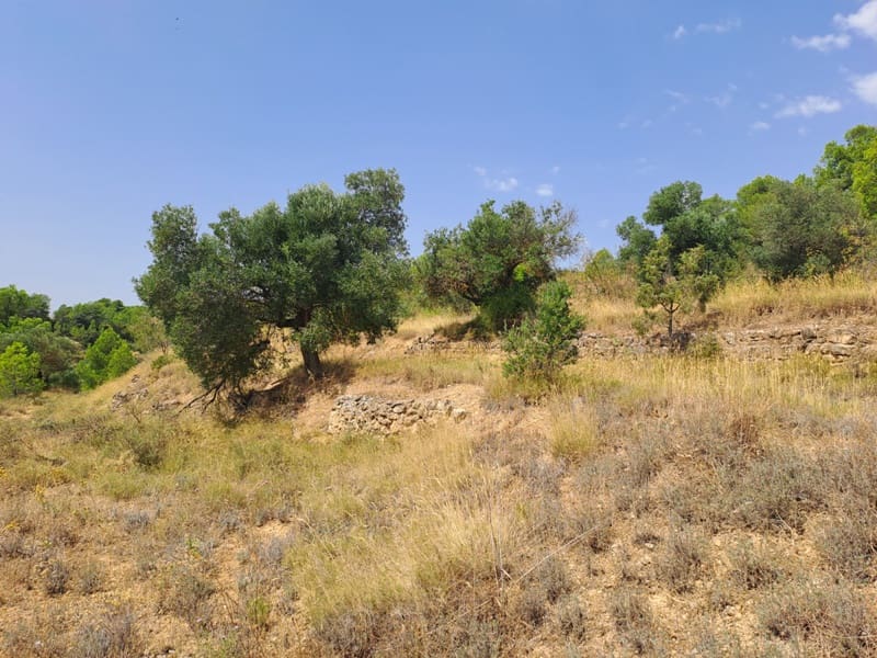 Finca/Country House for sale in Gandesa - € 9,000 (Ref: 9417809)