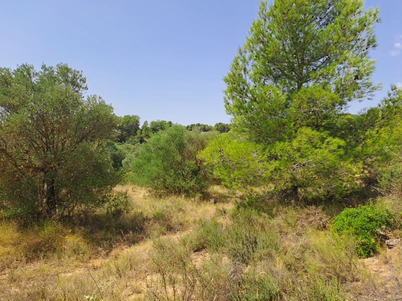 Finca/Country House for sale in Gandesa - € 9,000 (Ref: 9417809)