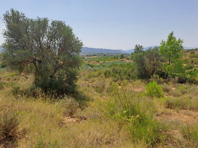 Finca/Country House for sale in Gandesa - € 9,000 (Ref: 9417809)