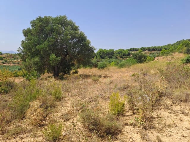 Finca/Landehus til salg i Gandesa - € 9.000 (Ref: 9417809)
