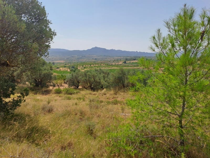 Finca/Country House for sale in Gandesa - € 9,000 (Ref: 9417809)