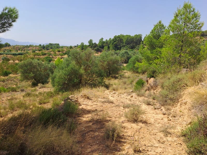 Finca/Country House for sale in Gandesa - € 9,000 (Ref: 9417809)