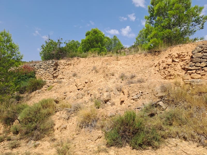 Finca/Country House for sale in Gandesa - € 9,000 (Ref: 9417809)