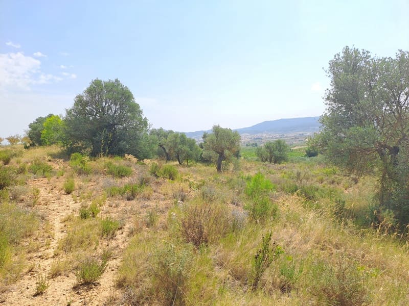 Finca/Country House for sale in Gandesa - € 9,000 (Ref: 9417809)